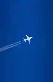 Flights
